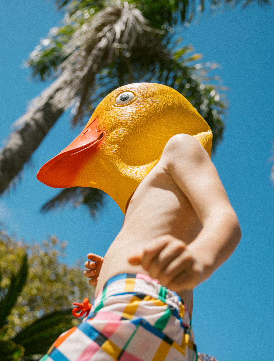 LITTLE | Caco in Chess