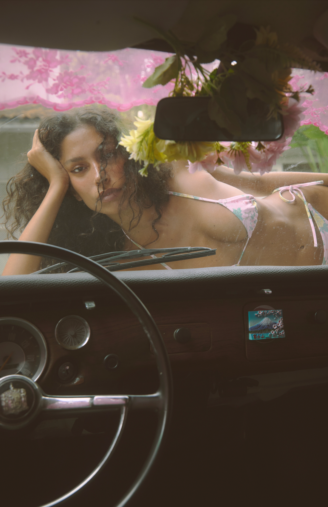 Top Bonny in Sakura Dreams