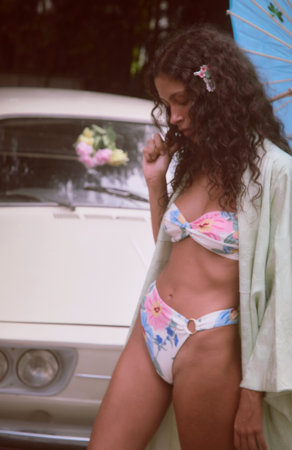 Collection Banner 1 Image