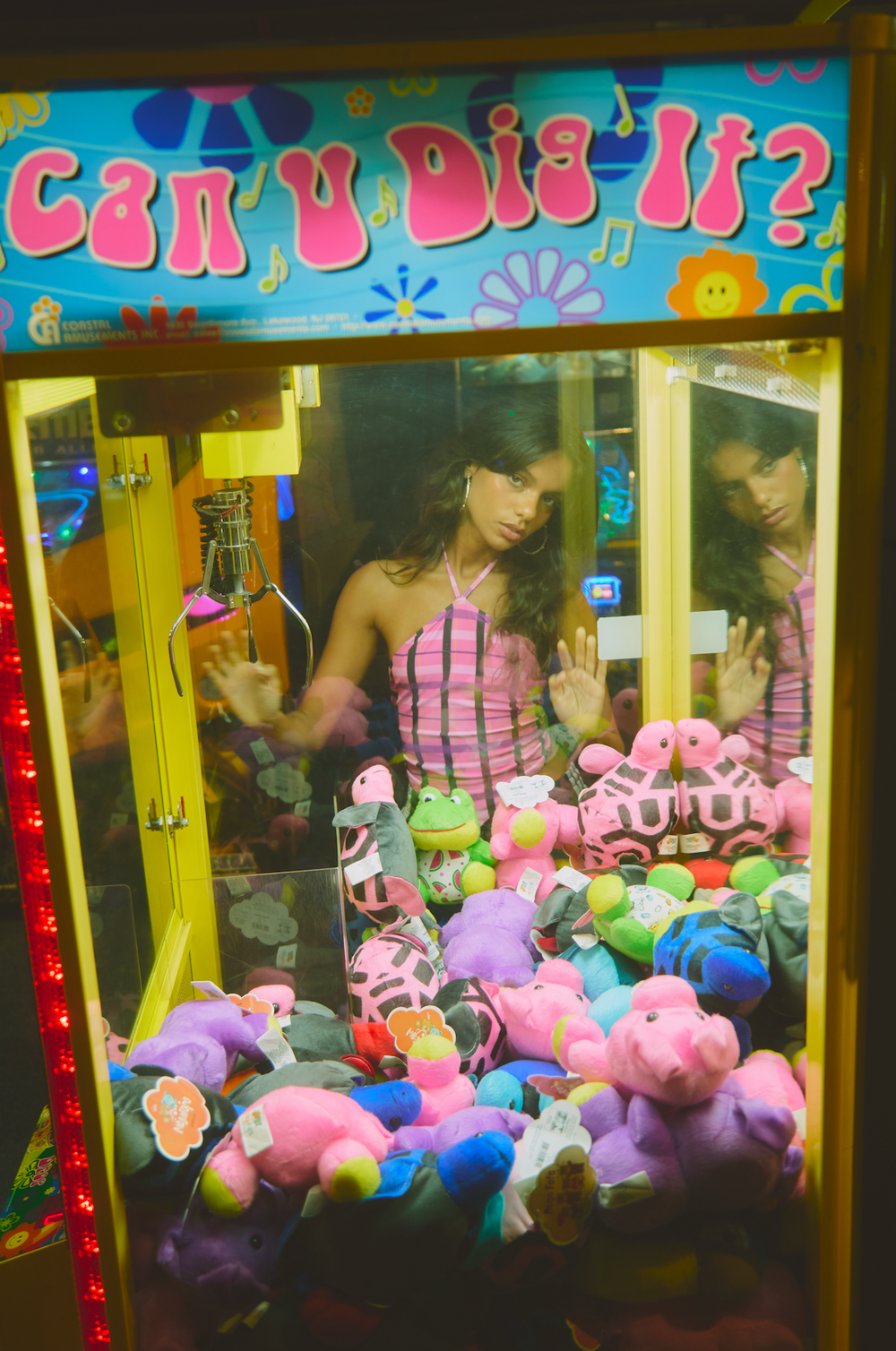 Collection Banner 2 Image